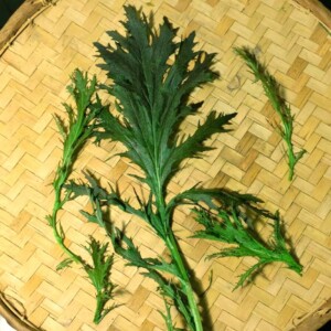 Mizuna Rouge Bio - 1 gramme