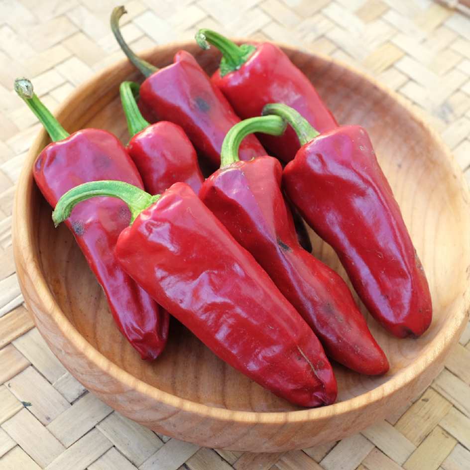 Piment Gorria (type Espelette) Bio - La Boîte à Graines