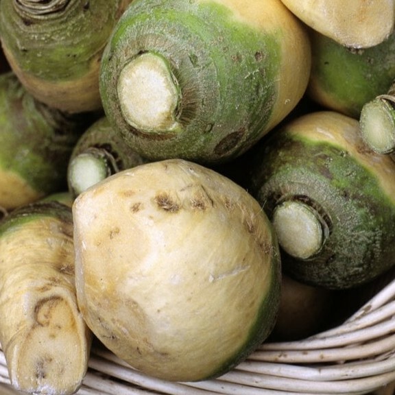 Chou Rutabaga Géant Blanc de Vendée Bio