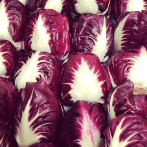 Chicorée Rouge de Vérone Bio - 0,6 gramme