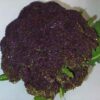 Chou brocolis violet du cap bio