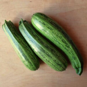 Courgette Nimba Bio - 2 grammes