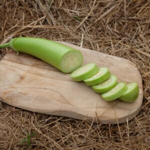 L'Aubergine Thaï Long Green produit de longs fruits cylindriques vert pâle sur une plante vigoureuse et précoce, variété douce sans amertume.