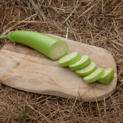L'Aubergine Thaï Long Green produit de longs fruits cylindriques vert pâle sur une plante vigoureuse et précoce, variété douce sans amertume.