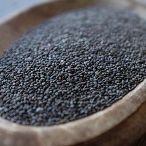 Le Chia, belle sauge, produit des graines comestibles très prisées. Elles sont très nutritives et utilisées dans de nombreuses préparations culinaires.