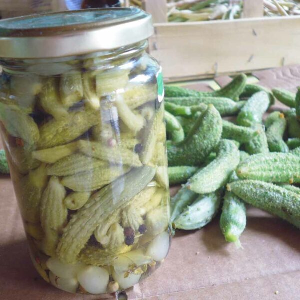 Graines Cornichons bio La Boîte à Graines