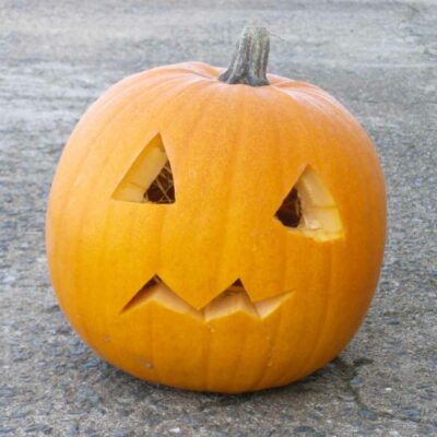 Courge Jack O' lantern bio