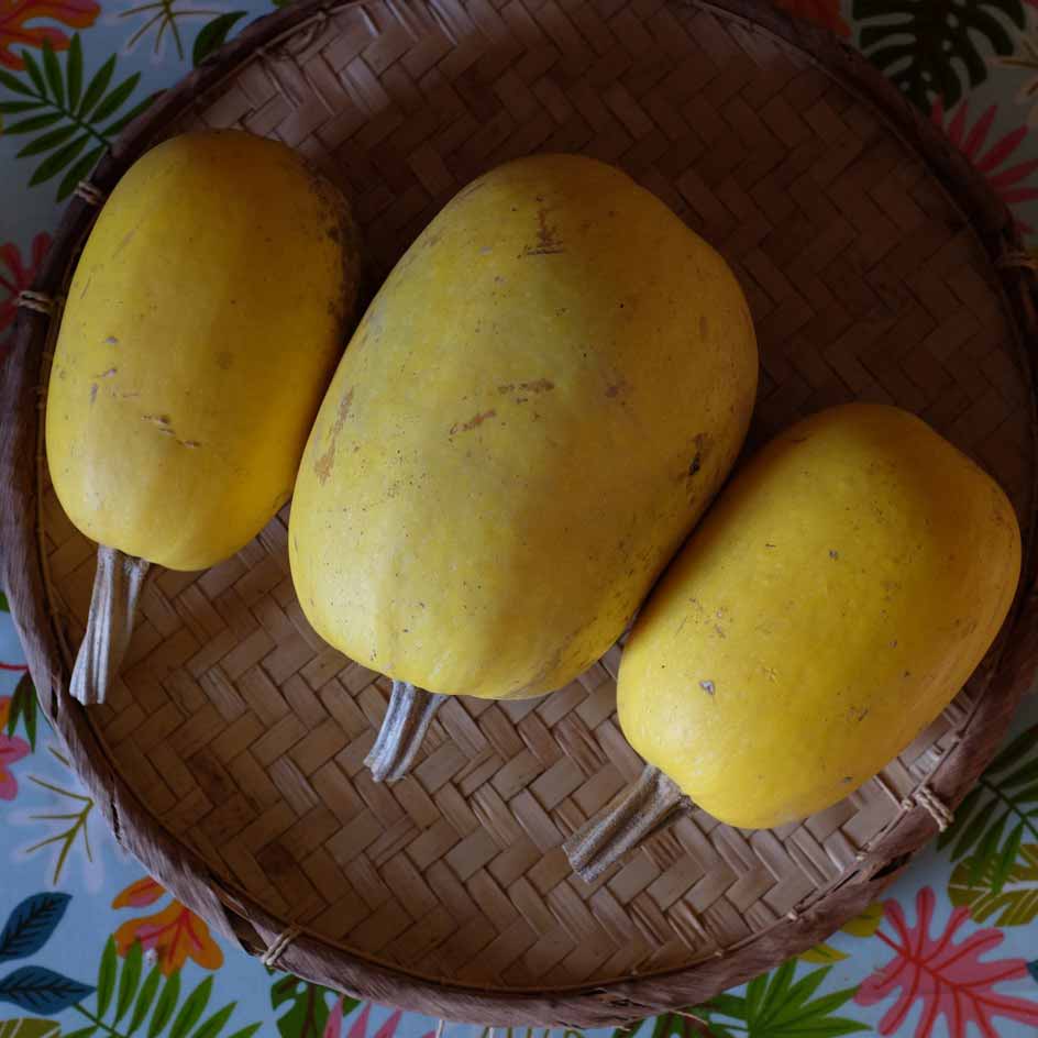 Courge Spaghetti Bio