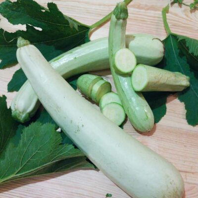 Courgette Lebanese White Bush bio