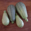 Courgette bio petite grise de Provence