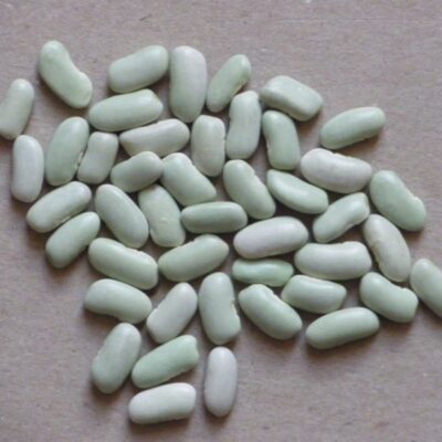 Flageolet bio de Touraine