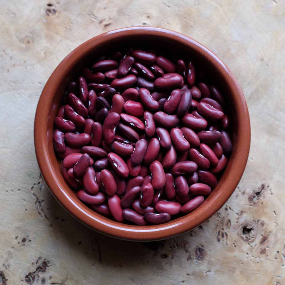 Nos graines haricot rouge à écosser Canadian Wonder - La Bonne Graine