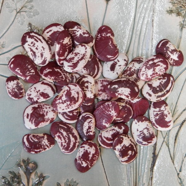 Haricots de Lima