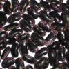 Haricot d'Espagne Lady Di bio