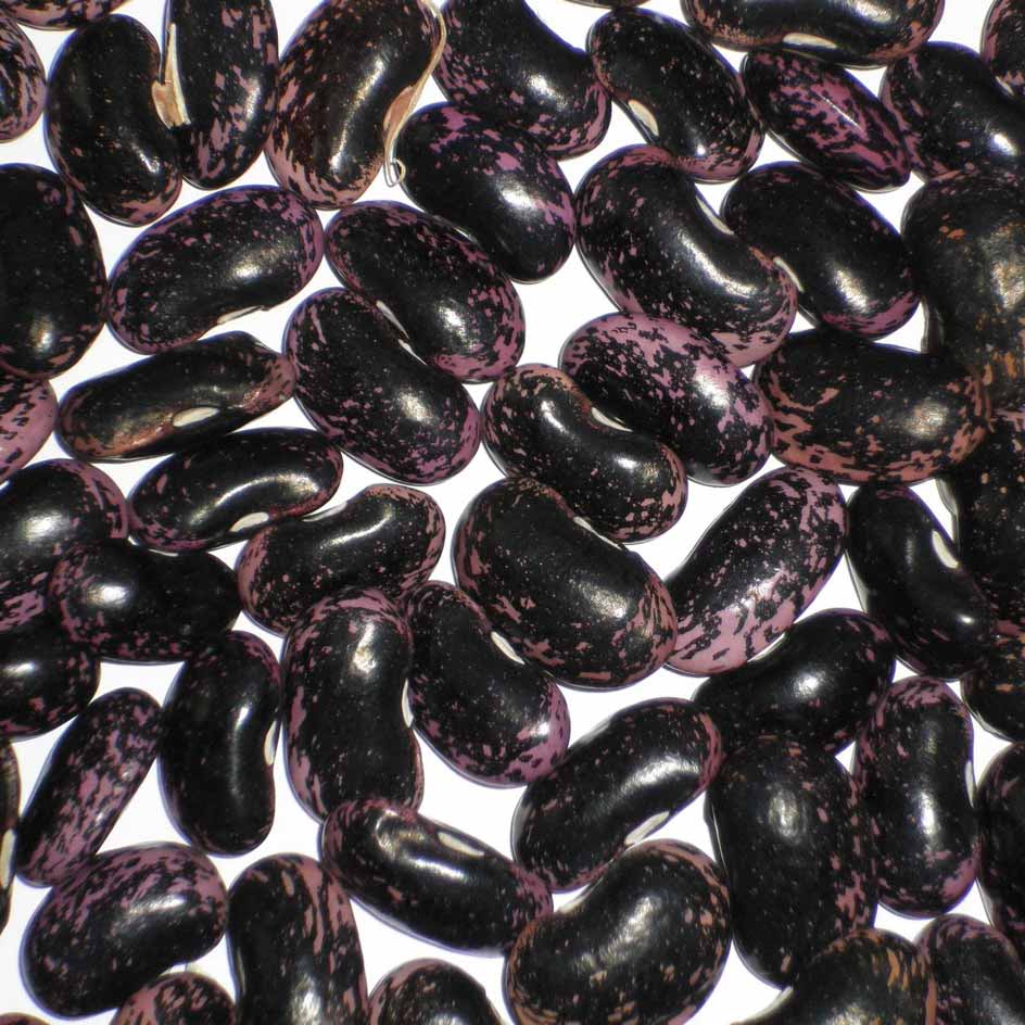 Haricots d'Espagne