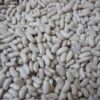 Haricot flageolet ortie bio