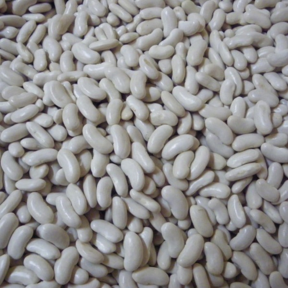 Haricot Flageolet Ortie Bio
