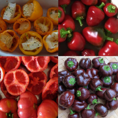 Mélange bio de mini-poivrons