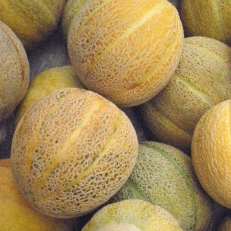 Melon Green Nutmeg bio