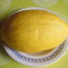 Melon jaune bio Canari
