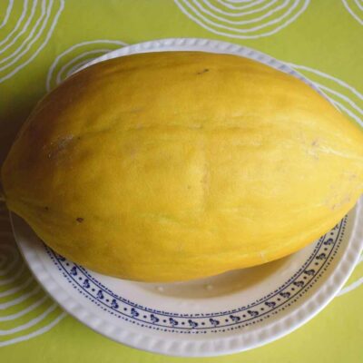 Melon jaune bio Canari