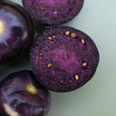 Physalis Ixocarpa Deep Purple bio