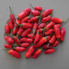 Piment Jigsaw bio