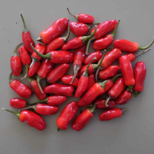 Piment Jigsaw bio