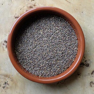 Quinoa Chadmo bio