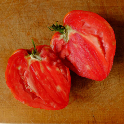 Tomate beefsteak bio