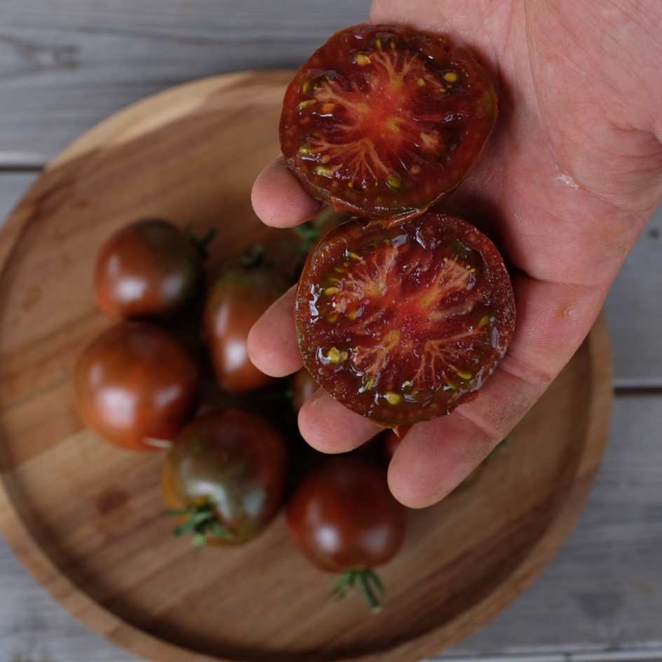 tomate-black-prince-bio-semence-boite-a-graines-2025 (5)_WEB