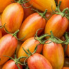 Tomate Blush Tiger bio