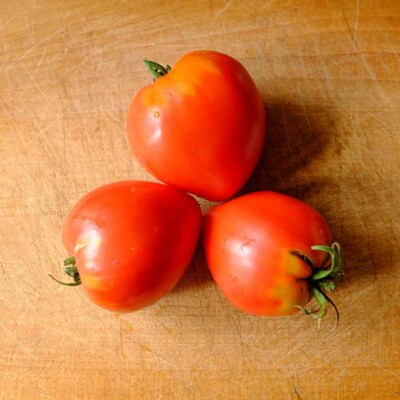 Tomate coeur de boeuf bio