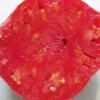 Tomate coeur de boeuf bio