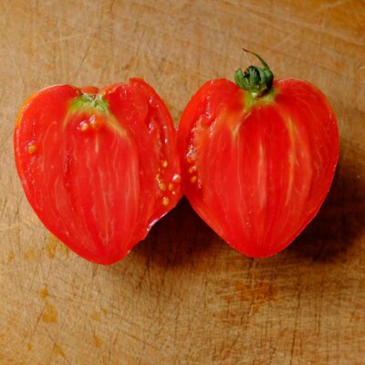 Tomate coeur de boeuf Jerusalem bio