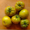 Tomate evergreen bio