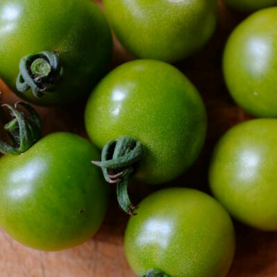 Tomate Green Doctors Frosted bio