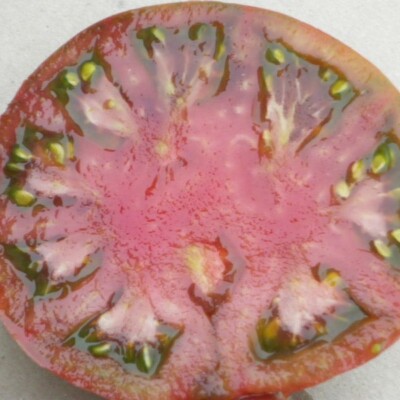 Tomate noire de Crimée bio