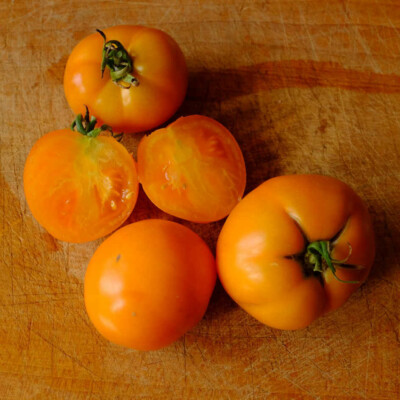 Tomate Orange Queen bio