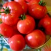 Tomate Rose de Berne bio