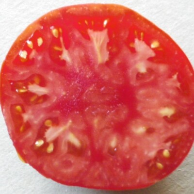 Tomate Saint Pierre bio