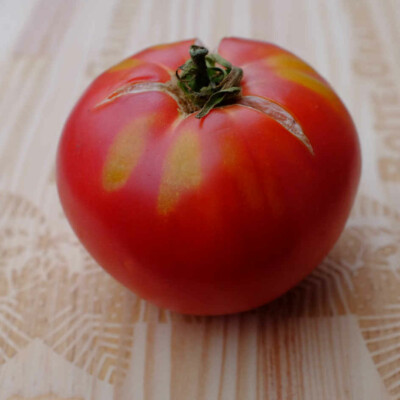 Tomate Savignac bio