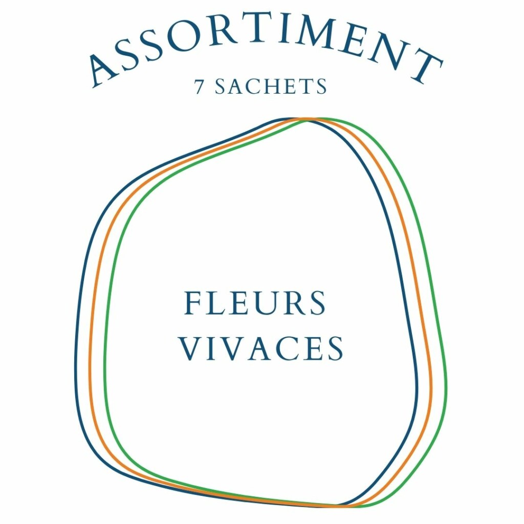 Assortiment Fleurs Vivaces