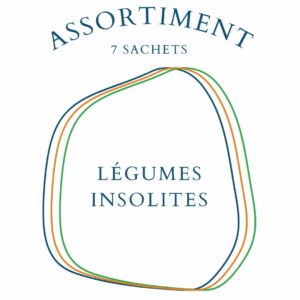Assortiment Légumes Insolites - 7 sachets de graines