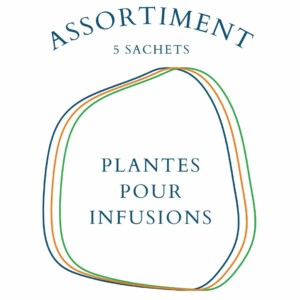 Assortiment Plantes pour Infusions - 5 sachets de graines