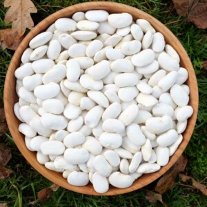 Haricot d'Espagne 'Orteil du Prêcheur' Bio - 25 graines