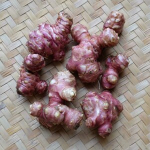 Topinambourg Violet de Rennes Bio - 5 tubercules