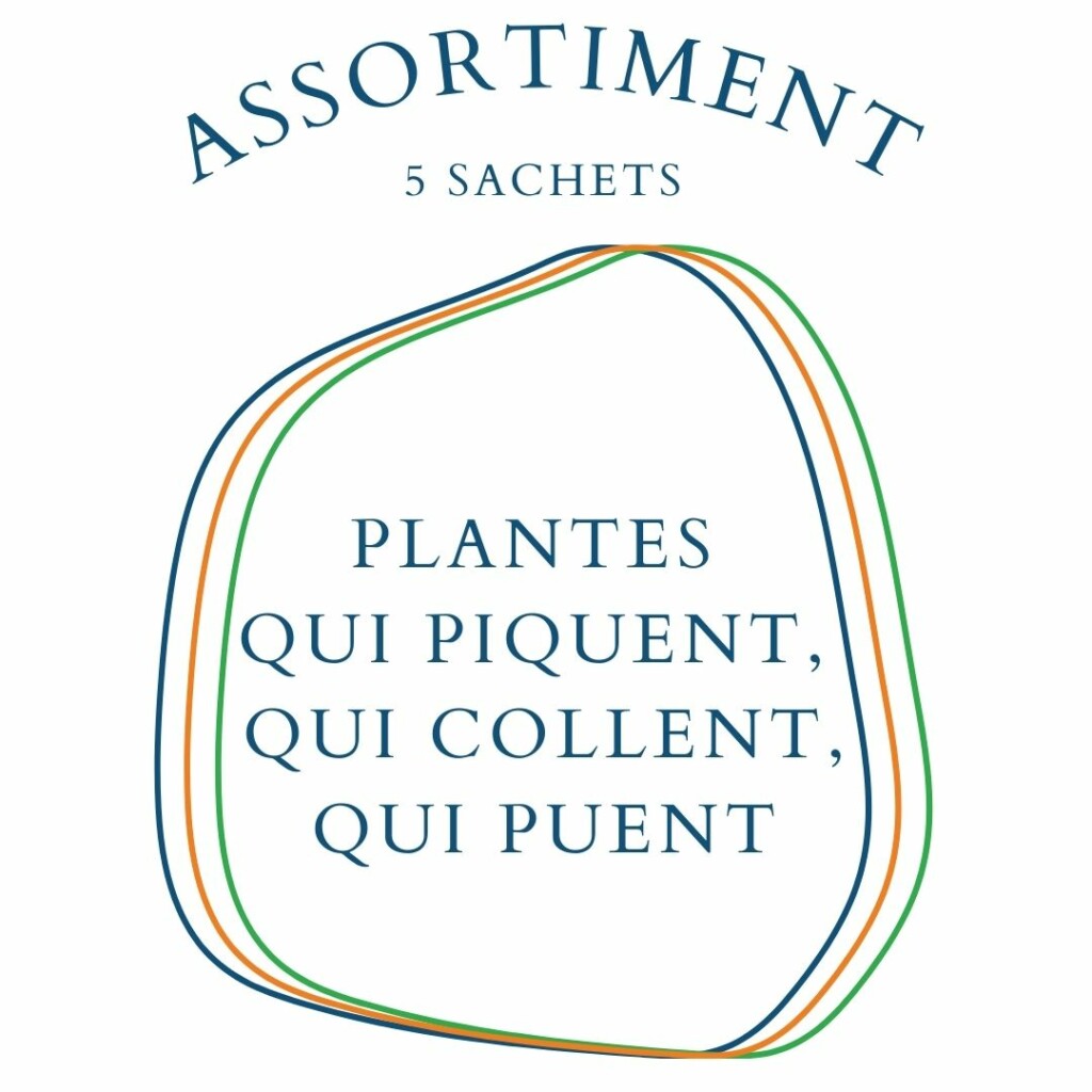 Assortiment Plantes qui piquent, qui collent, qui puent