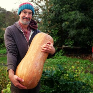 Courge Bambina Gigante Bio - 12 graines