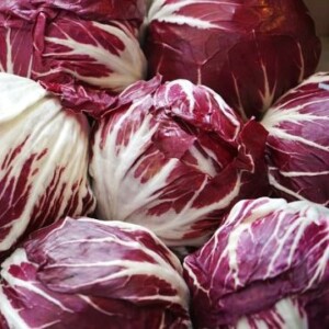 Chicorée Palla Rossa 3 Bio - 0,6 gramme